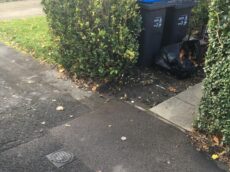 garden waste clearance london